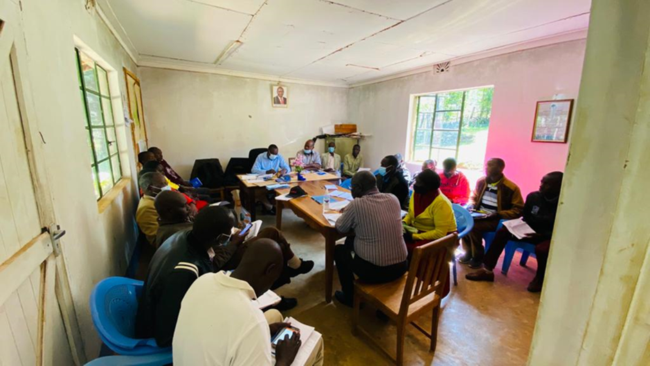 development of programmes