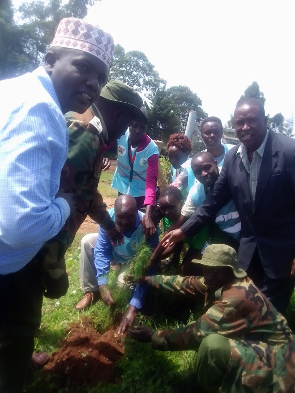 Tree planting